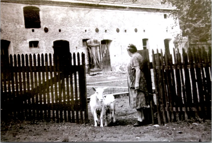 Familie Kaps — Försterfamilie und Zeitzeugen 1947–1961 — Foto 4