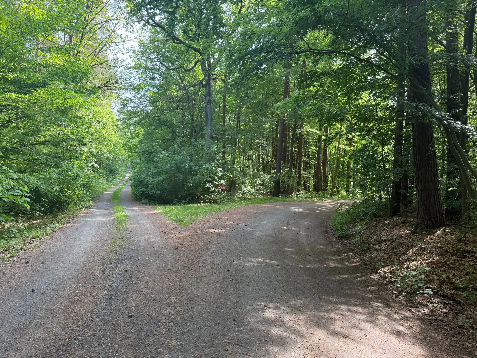 Weggabelung im Wald — rechts halten