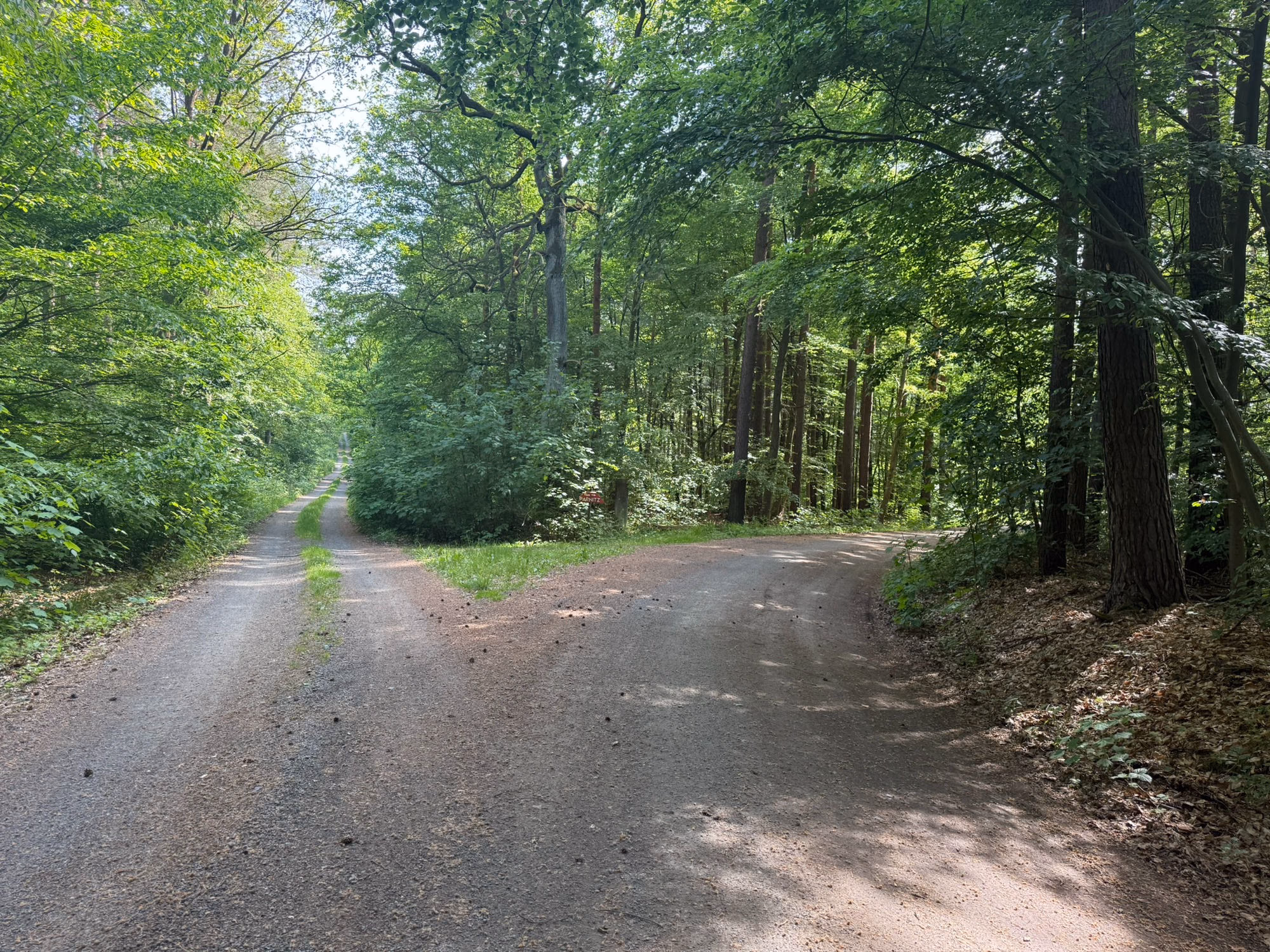 Weggabelung im Wald — rechts halten