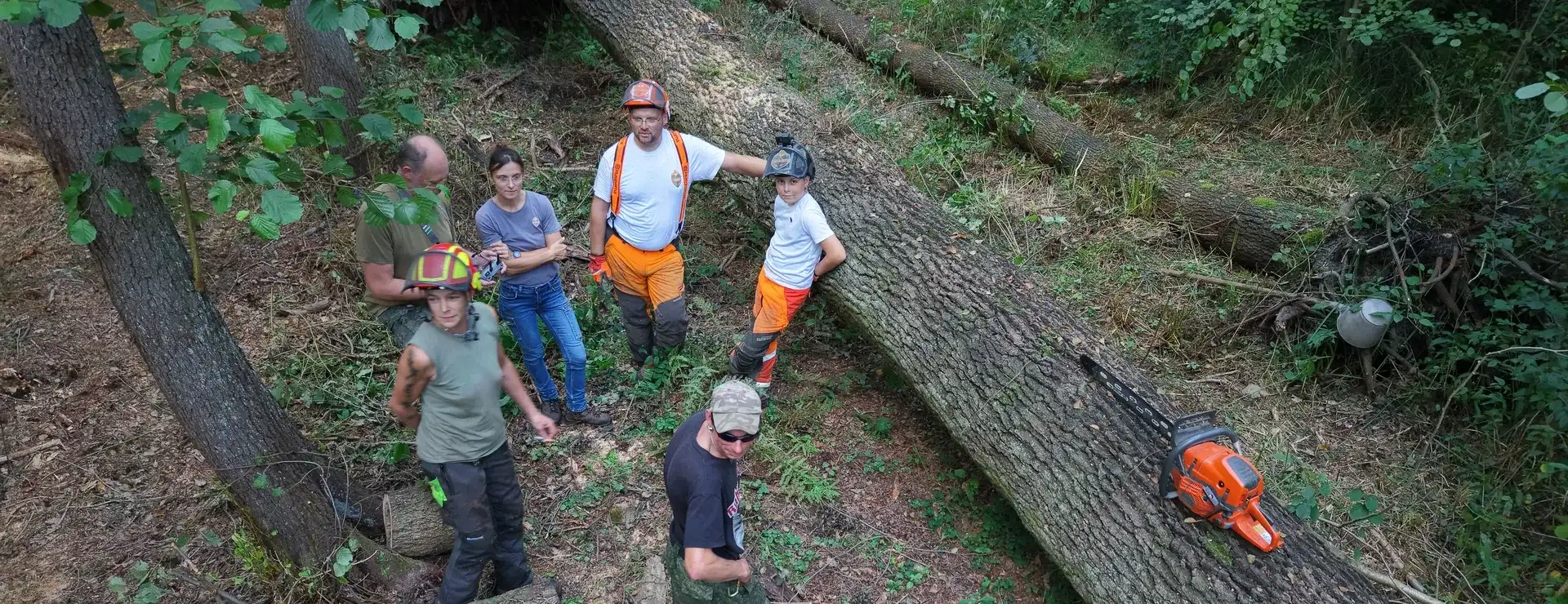 Menschen bei der Waldarbeit an der Waldbauernschule Parnitz