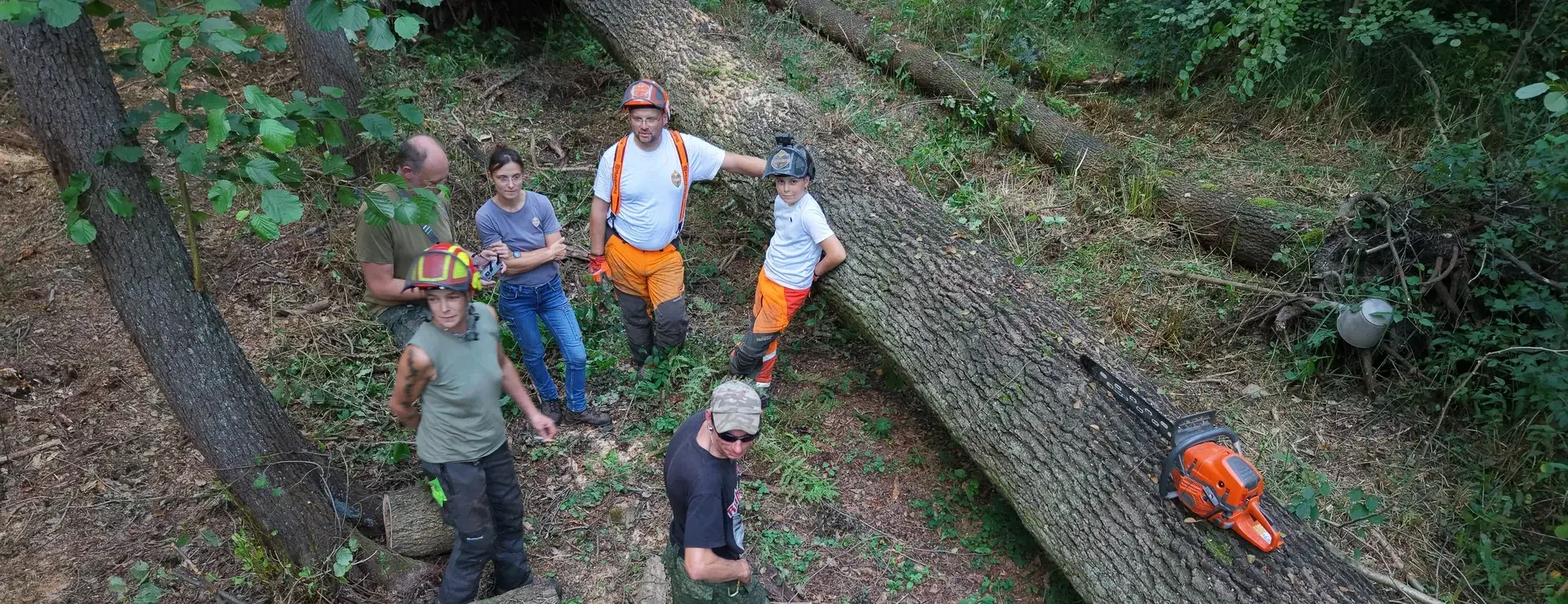 Menschen bei der Waldarbeit an der Waldbauernschule Parnitz