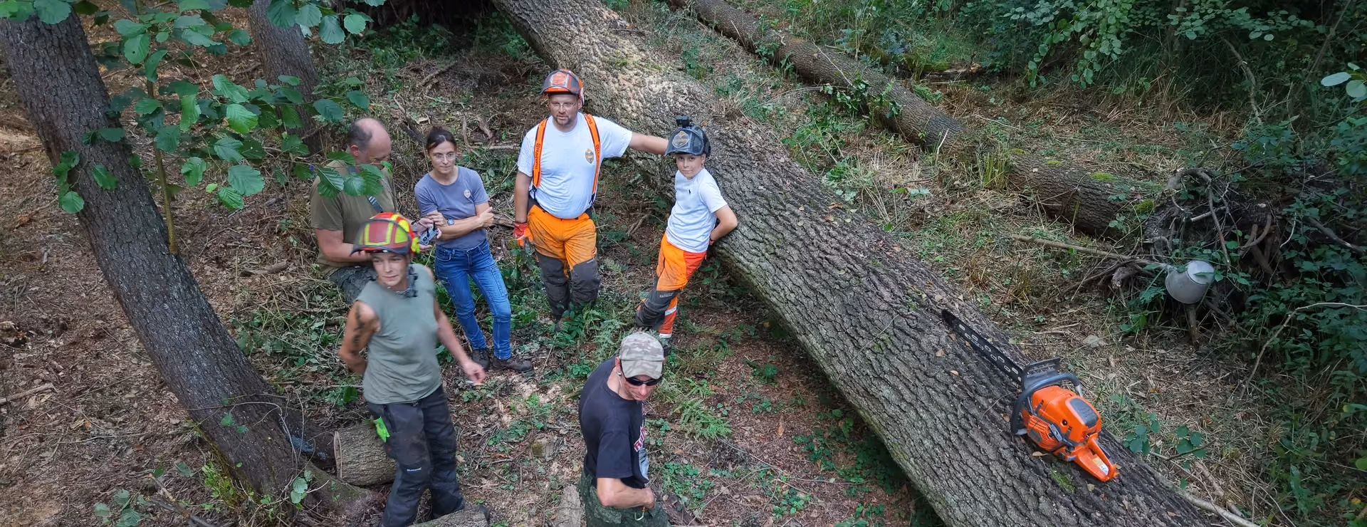 Menschen bei der Waldarbeit an der Waldbauernschule Parnitz