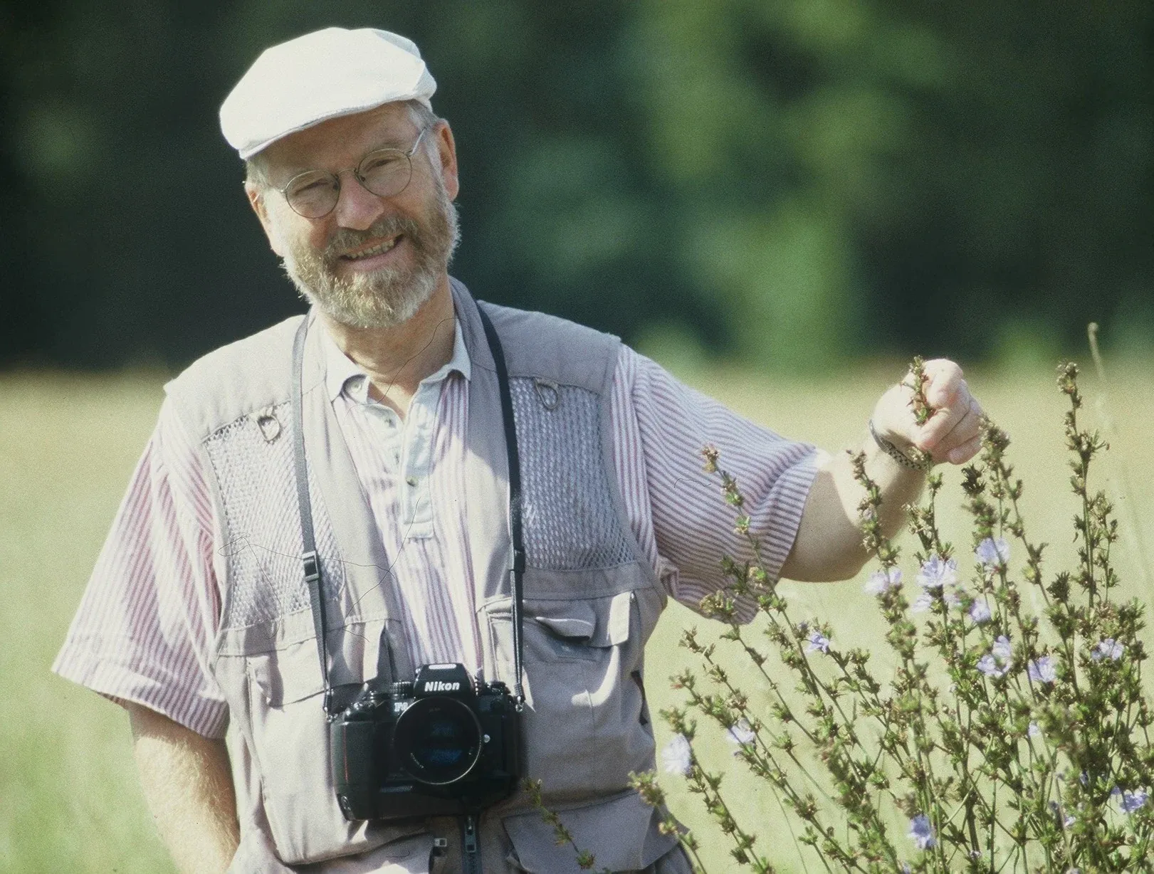 Porträtfoto von Hermann Benjes, Aufnahme aus dem Jahr 1996