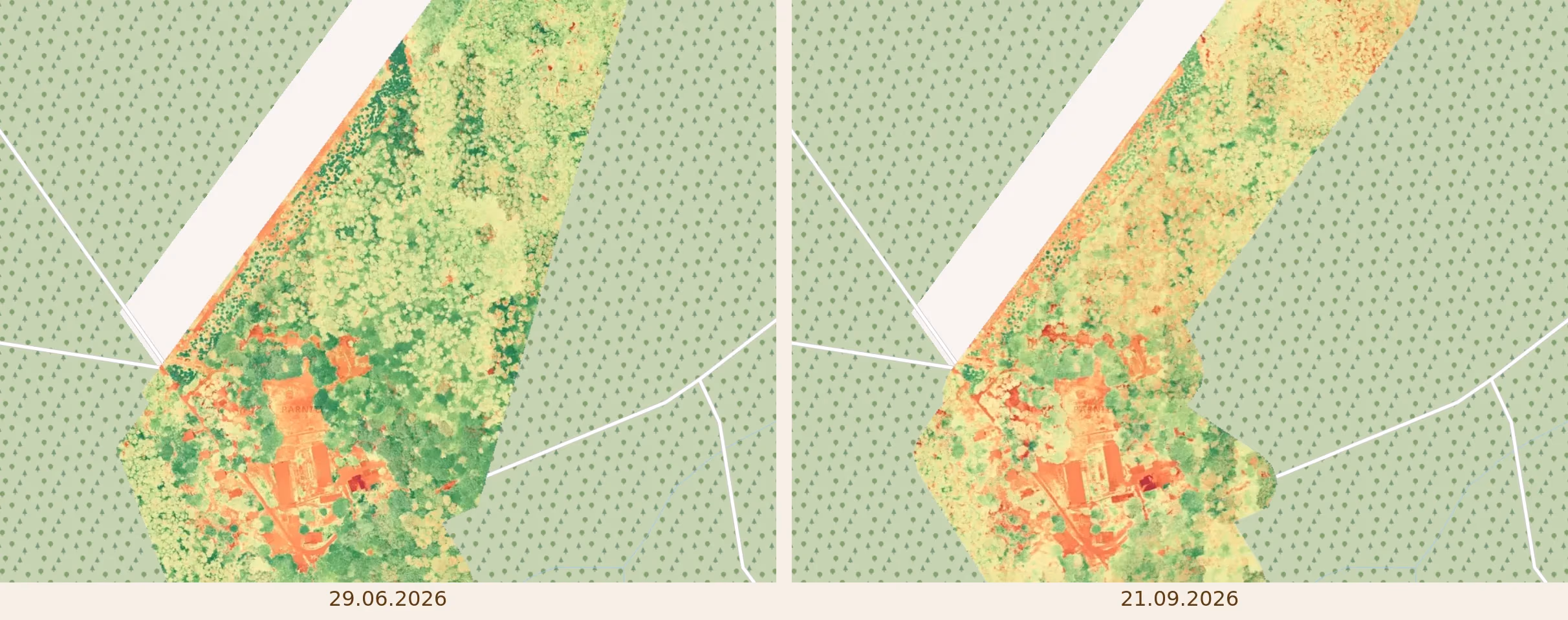 Vergleichs-Visualisierung des Green-Leaf-Index über dem Forsthaus-Areal: links die Juni-Befliegung mit großflächig sattem Grün, rechts die September-Befliegung mit deutlich mehr gelben und orangen Flächen; Beschriftung mit den beiden Datumsangaben