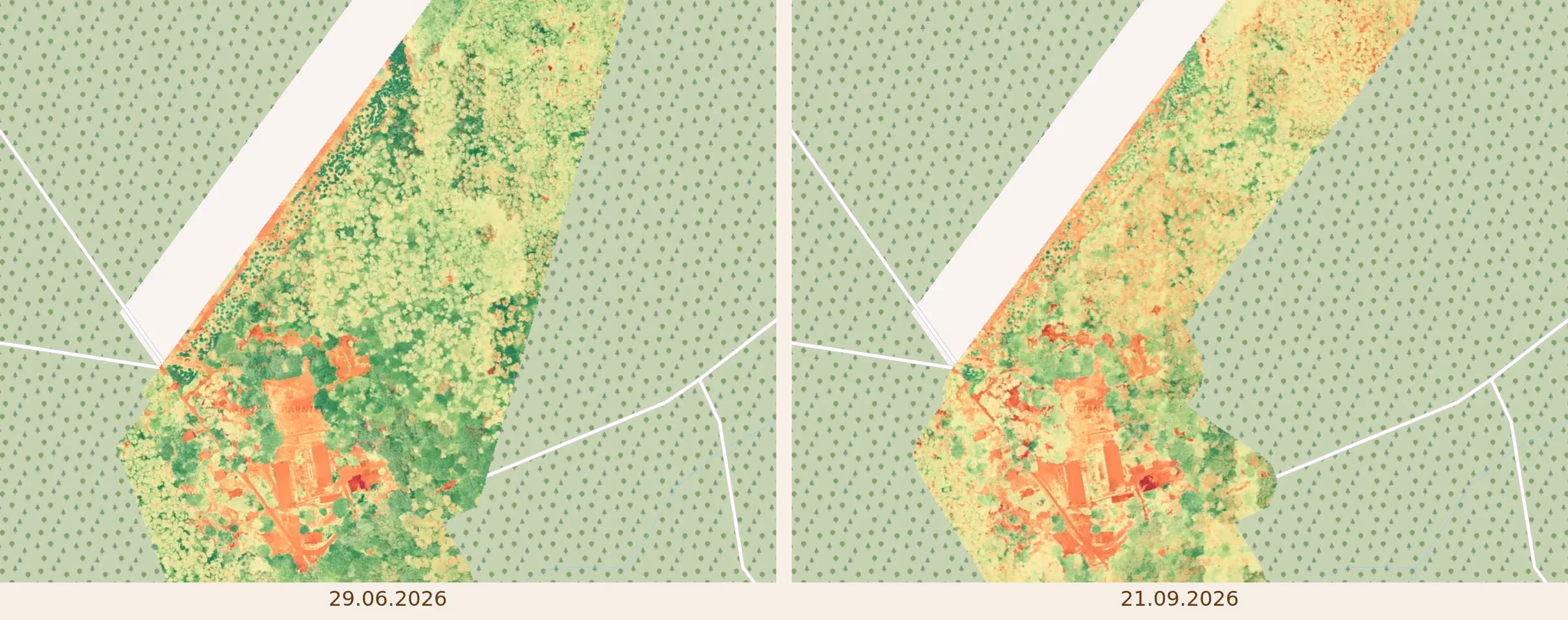 Vergleichs-Visualisierung des Green-Leaf-Index über dem Forsthaus-Areal: links die Juni-Befliegung mit großflächig sattem Grün, rechts die September-Befliegung mit deutlich mehr gelben und orangen Flächen; Beschriftung mit den beiden Datumsangaben