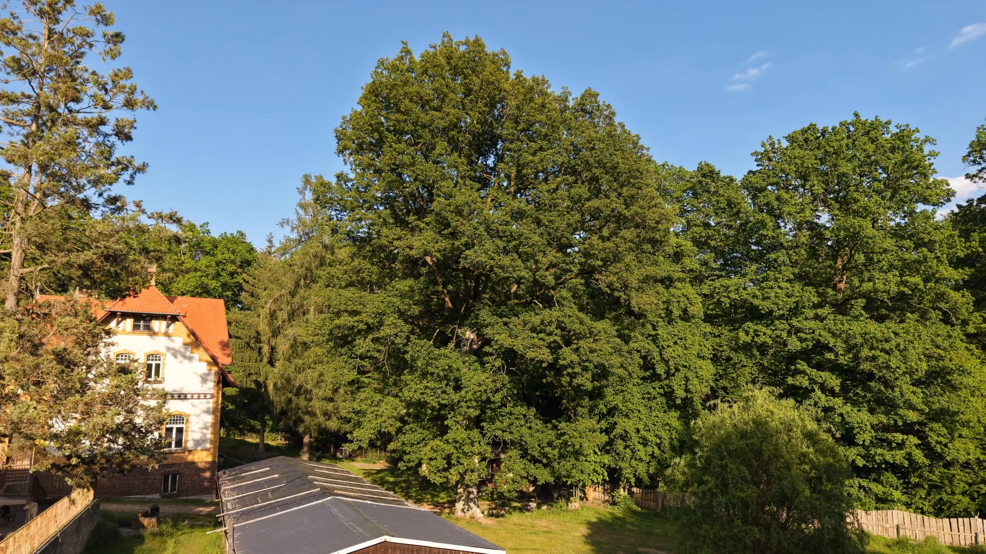 Das historische Jagdhaus am Forsthaus Parnitz mit großem Baum