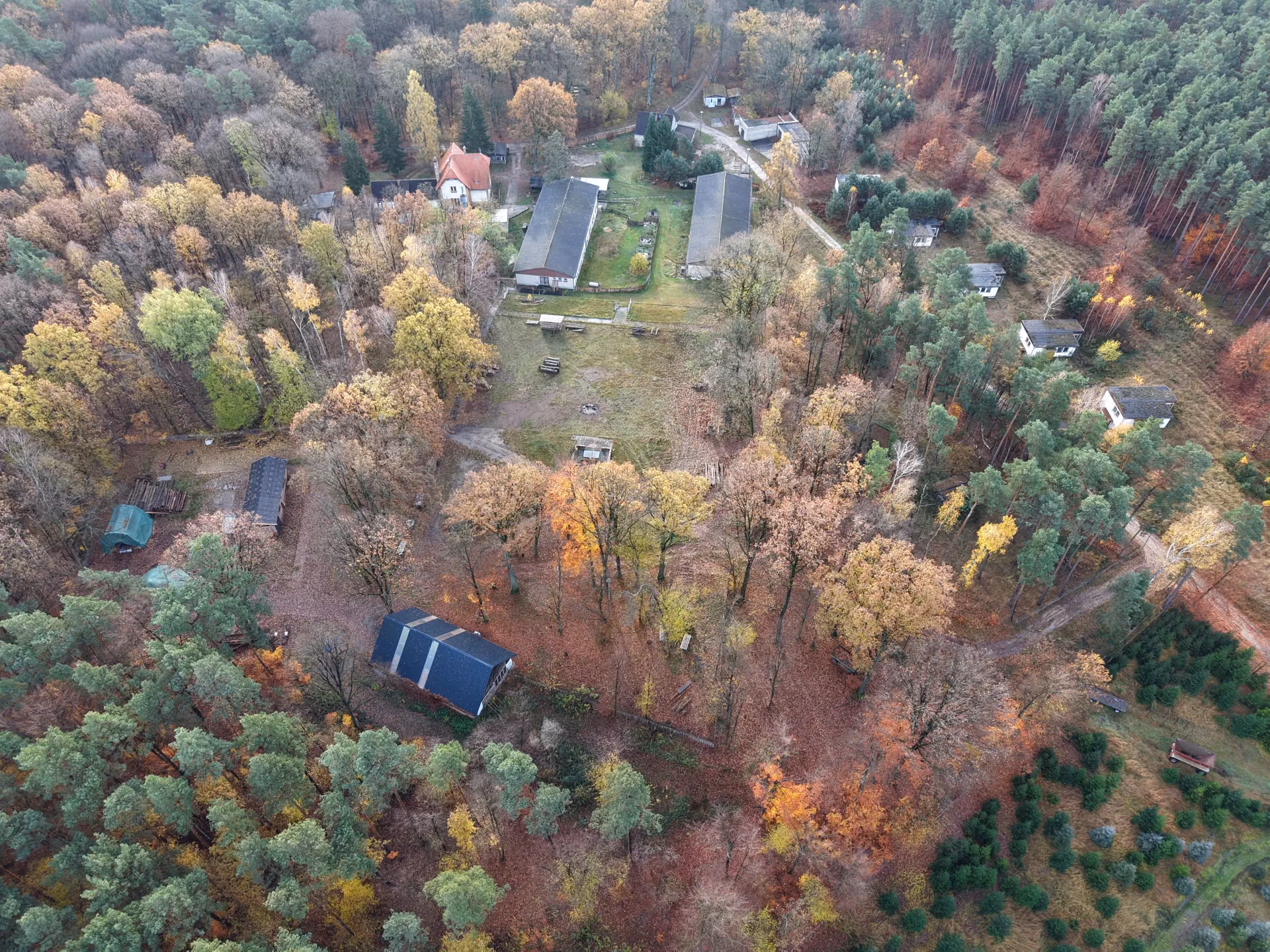 Herbstliches Luftbild des Forsthaus-Ensembles Parnitz in der Dübener Heide