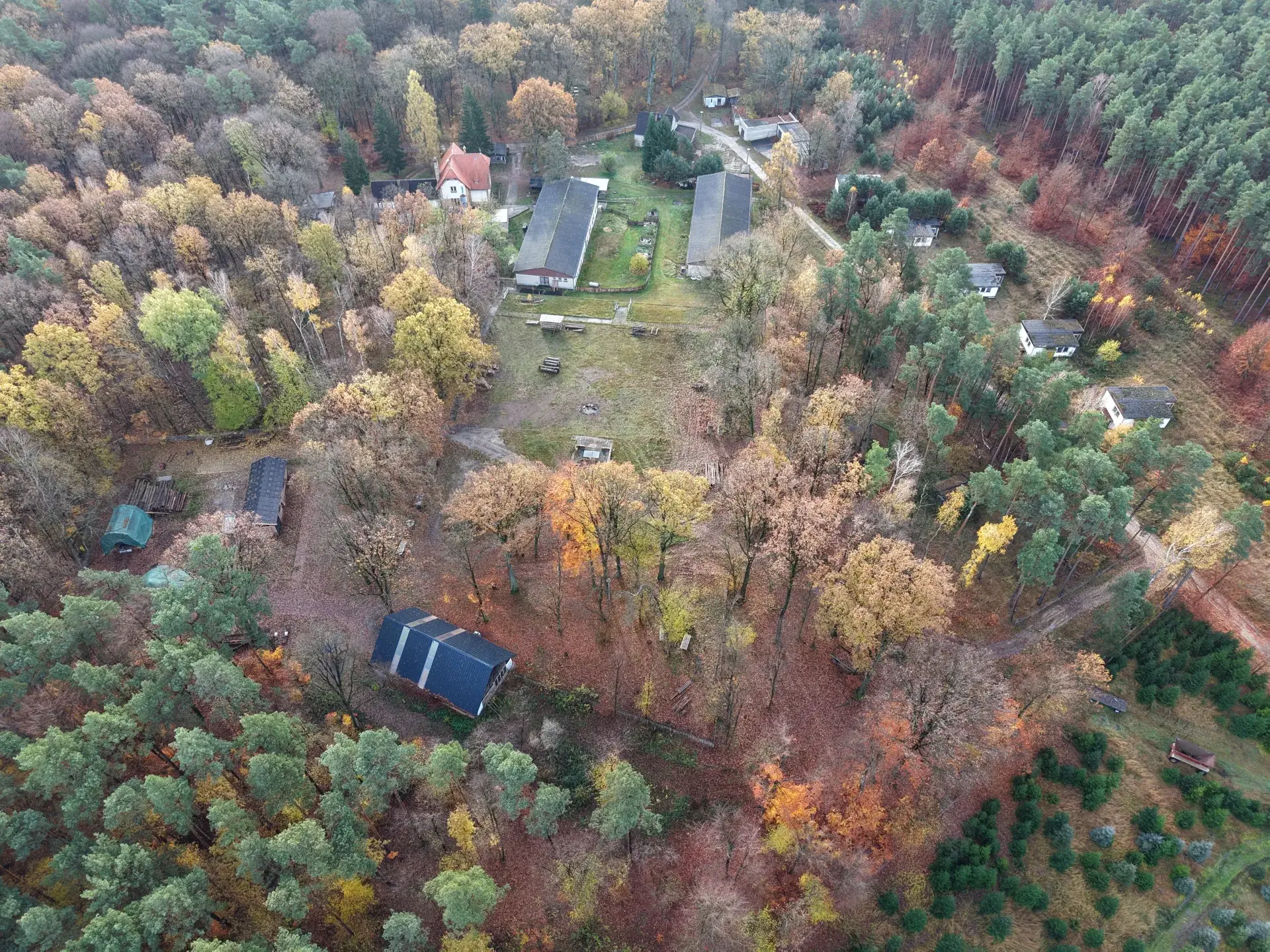 Luftbild des Campus der Waldbauernschule Parnitz im Herbst — alle Gebäude des Ensembles eingebettet in die Dübener Heide